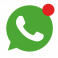 WhatsappIcon